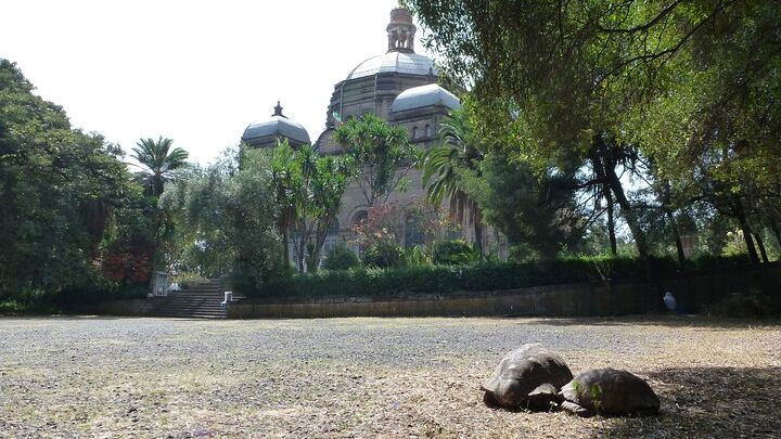 Hidden Treasures of Addis Ababa - Food, Culture and History Tour