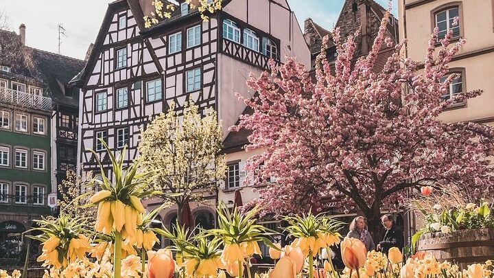 Strasbourg Grande Ile History Small-Group Guided Walking Tour