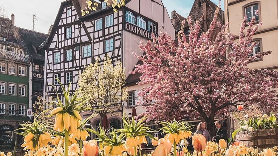 Strasbourg Grande Ile History Small-Group Guided Walking Tour