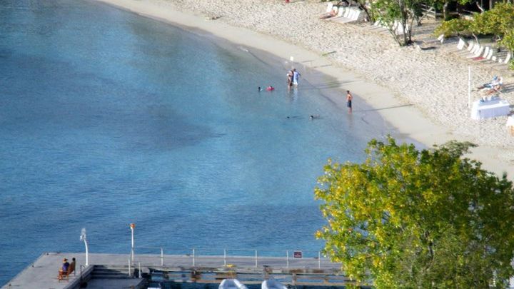 St. John Island Small-Group Sightseeing Tour With Pickup