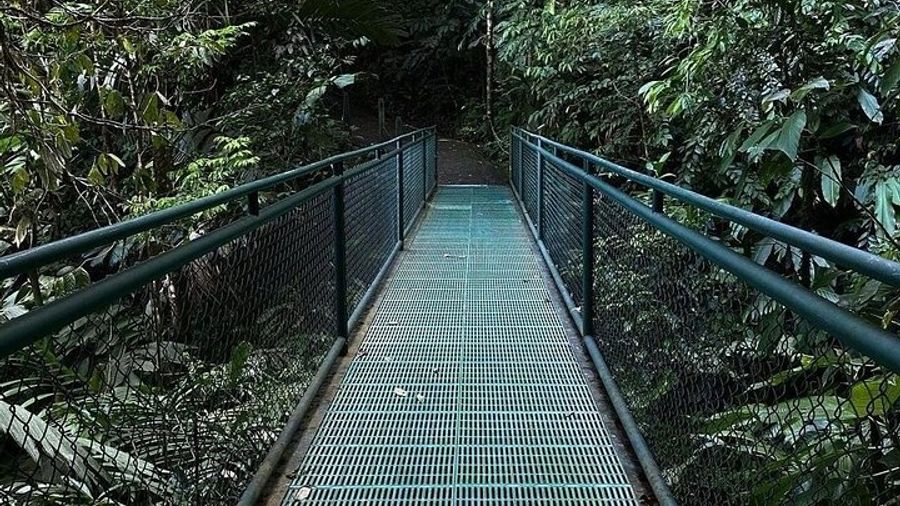 Buena Vista del Rincon Eco Adventure Park Day Trip with Lunch