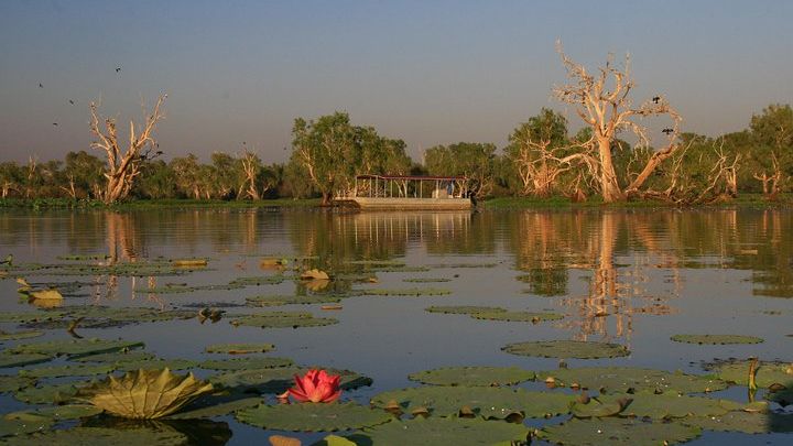 Corroboree Billabong Wetland Cruises - 2 hour Sunset Cruise