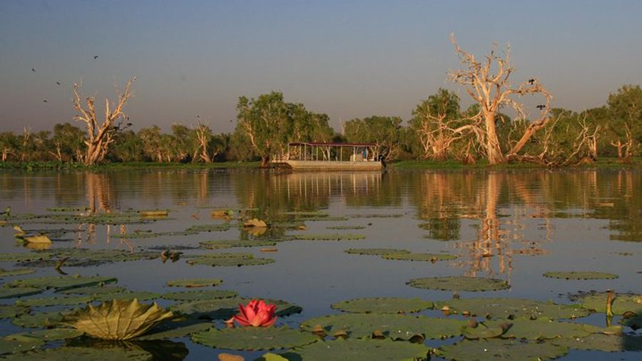 Corroboree Billabong Wetland Cruises - 2 hour Sunset Cruise