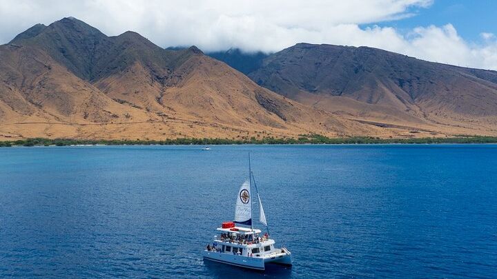 Maui: Molokini Half-Day Snorkeling Tour From Maalaea Harbor