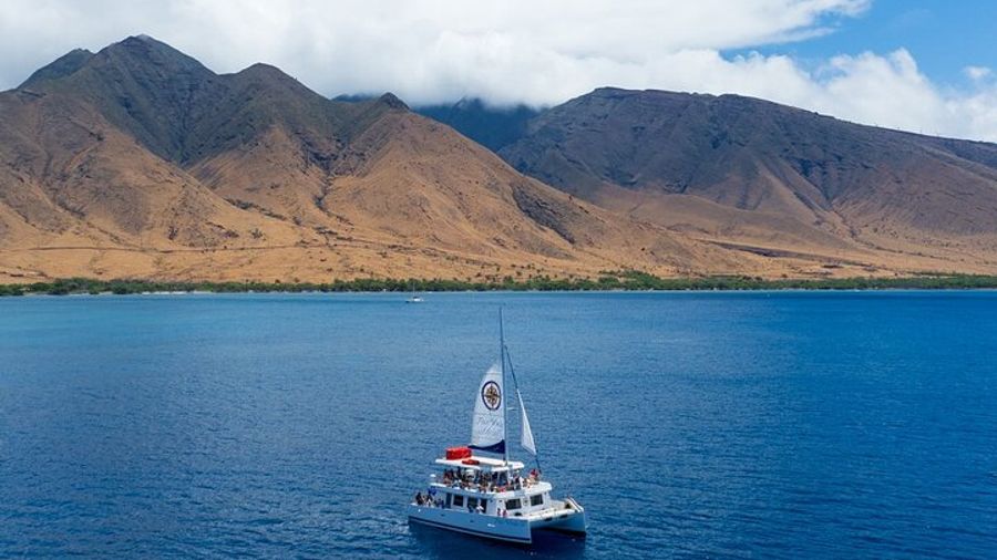 Maui: Molokini Half-Day Snorkeling Tour From Maalaea Harbor