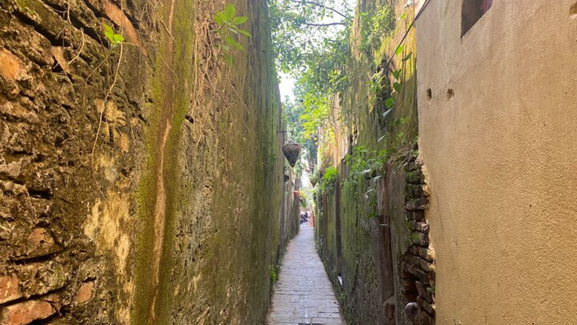 Hoi An Old Town Must-See Walking Private Tour