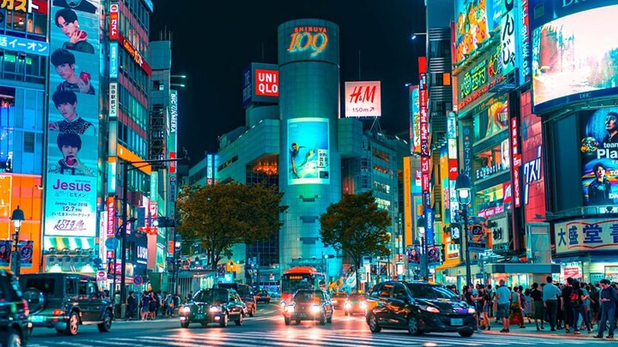 Tokyo: City Highlights Private Full-Day Customizable Tour