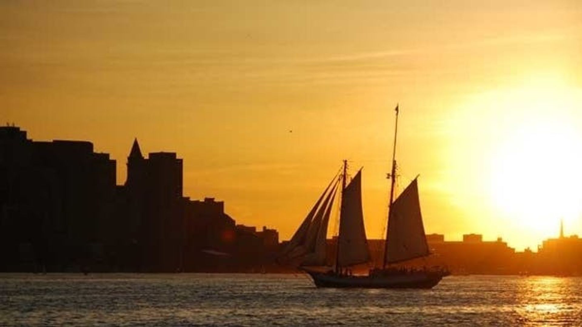 Boston Harbor sunset Liberty Star sailing experience image 1