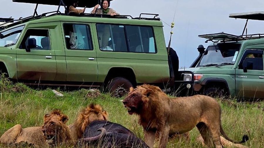 3-Maasai Mara Group Joining Migration Safari - Daily Departures