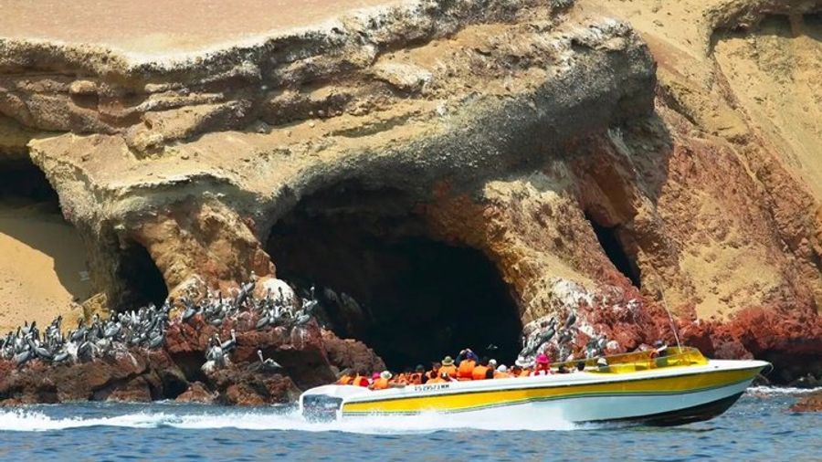 Paracas, Huacachina and Ballestas Islands Tour From Lima