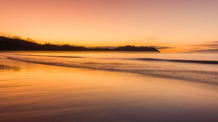 Waiheke Island Evening Sunset Vineyard Tour