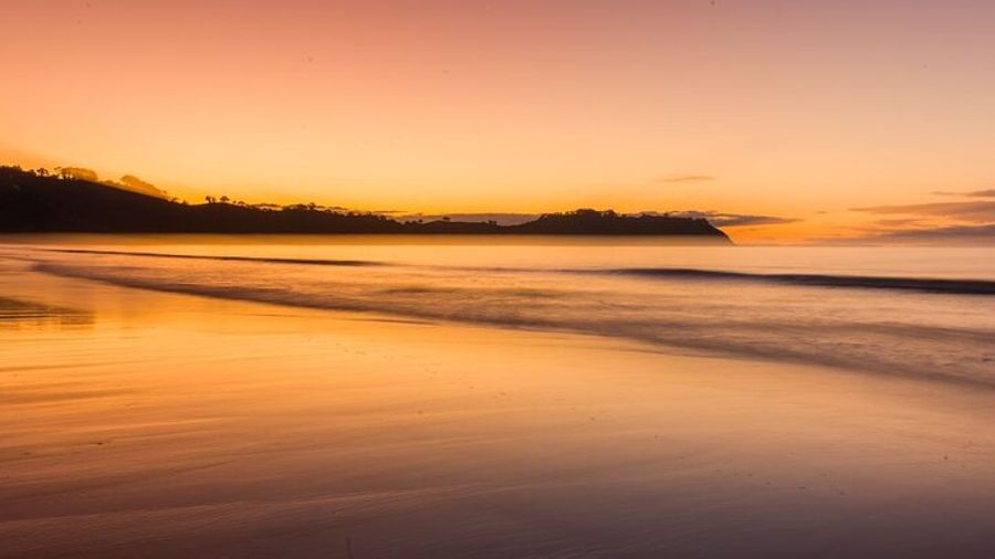 Waiheke Island Evening Sunset Vineyard Tour