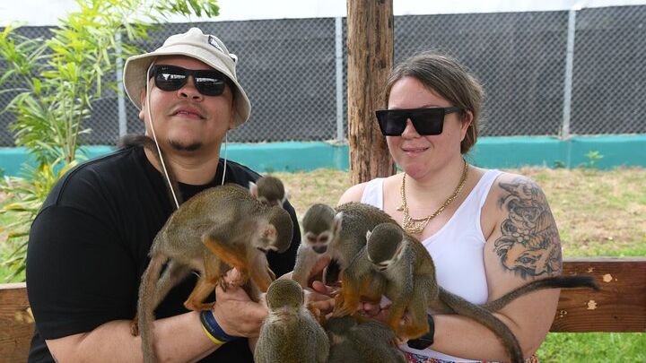 Monkey Home Tour and Damajagua waterfalls in Puerto Plata.