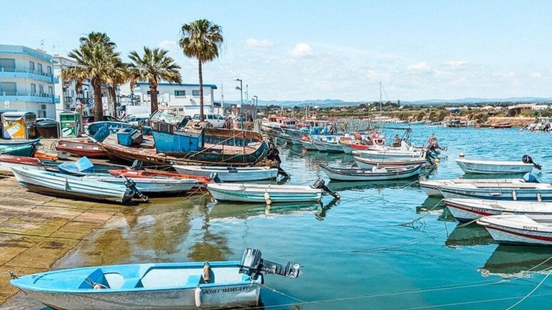 Ria Formosa Observation des oiseaux par visite privée écologique Tuk Tuk