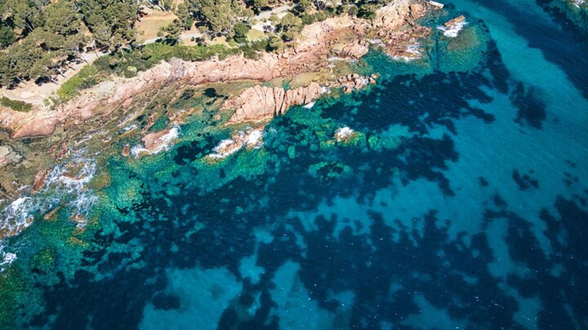 Snorkeling Aperitif 3:00 around the Golden Island at sunset