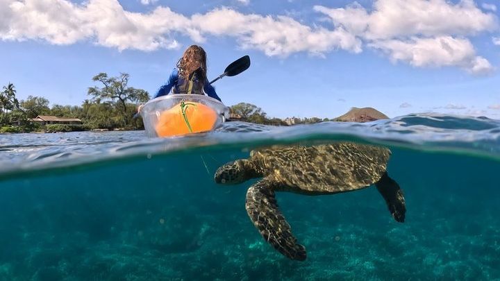Maui Makena Kayak and Snorkel Small-Group Tour
