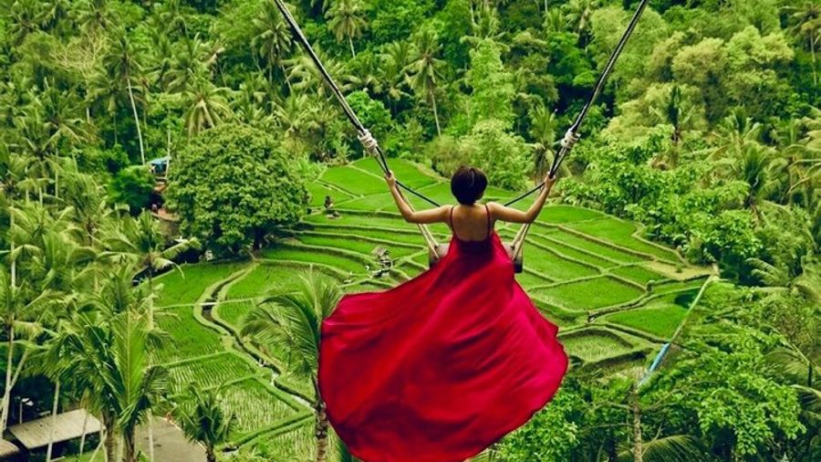 Ubud Monkey Forest, Jungle Swing, Rice Terrace, and More