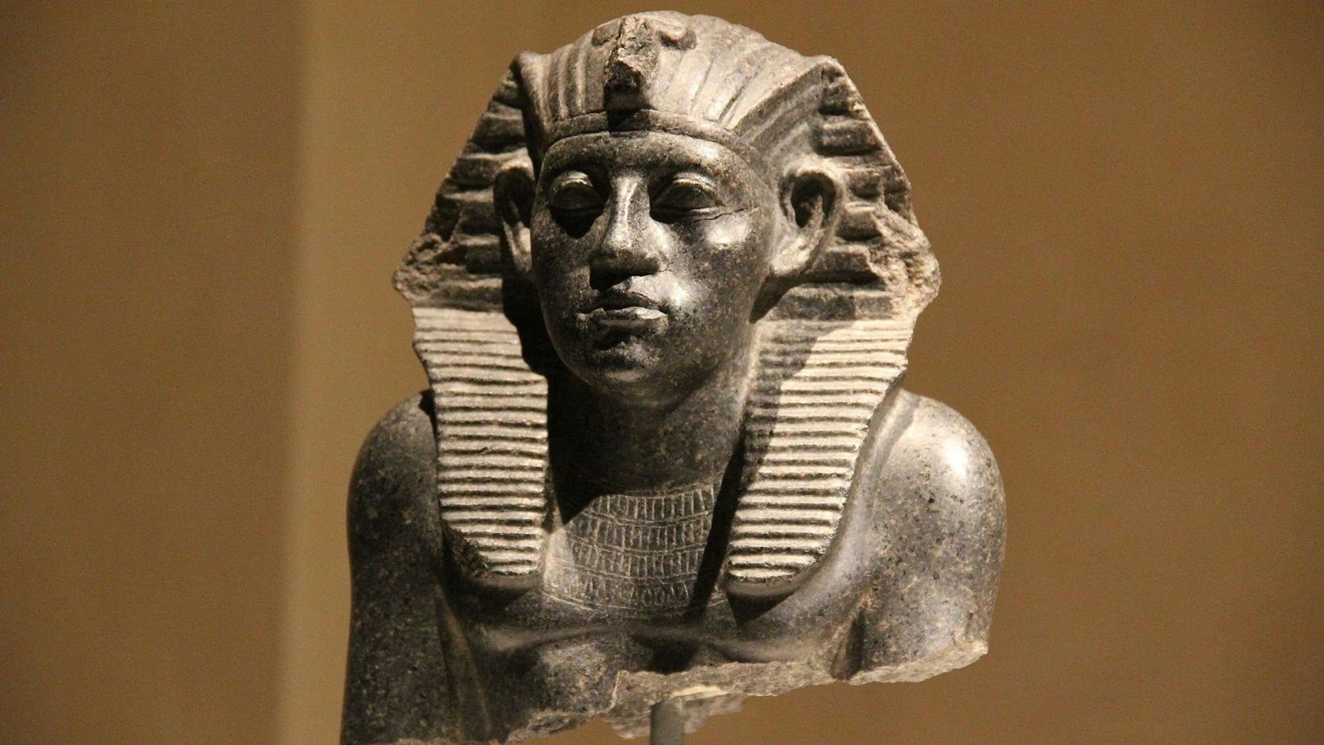 Neues Museum entrance ticket with self-guided audio tour