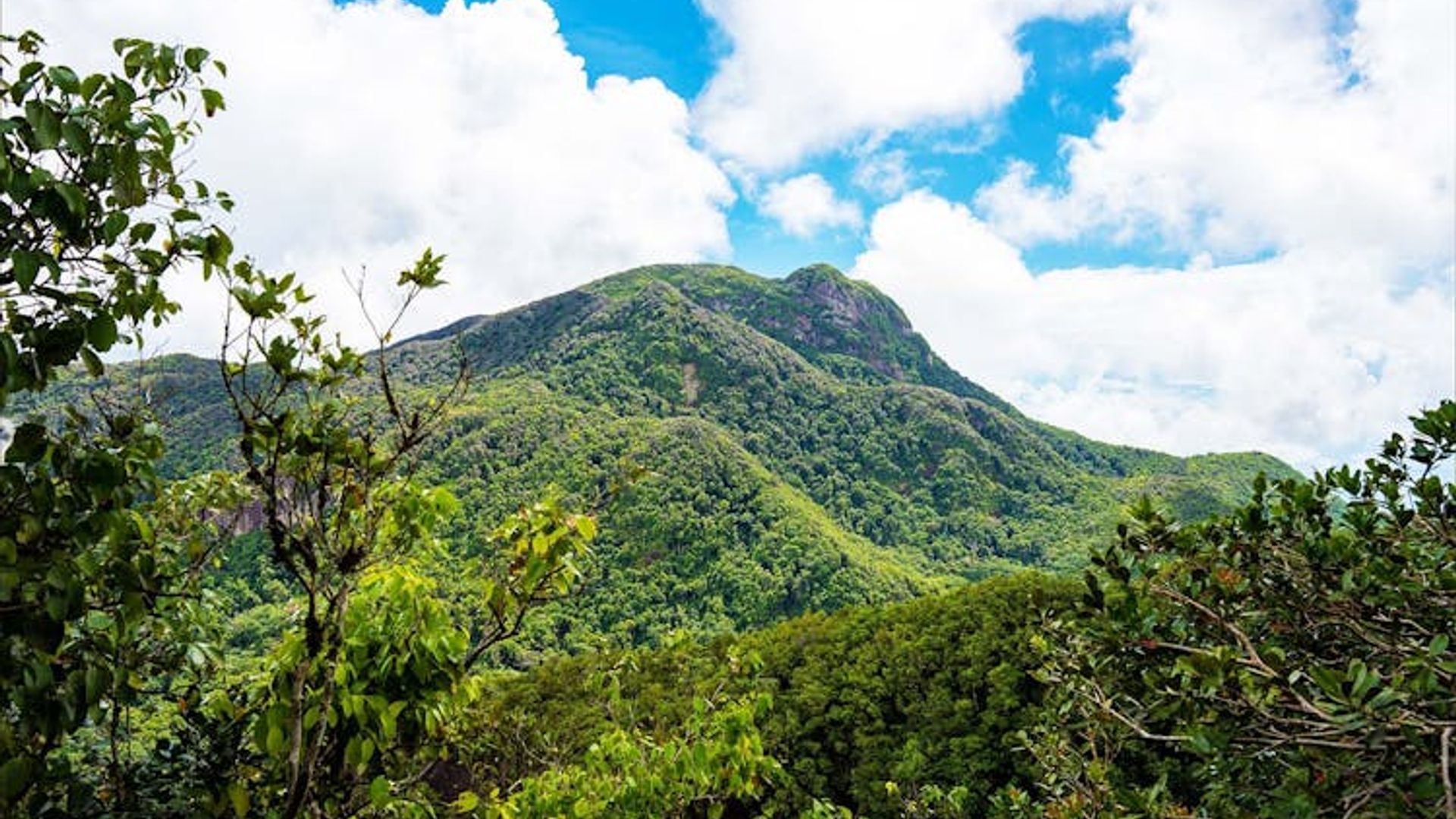 Private nature trail Morne Blanc from Mahé