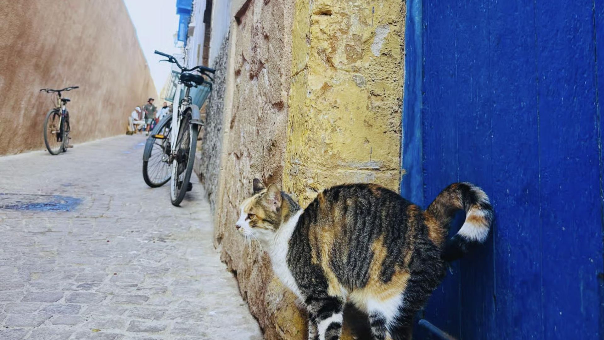 Essaouira excursion with lunch from Marrakech