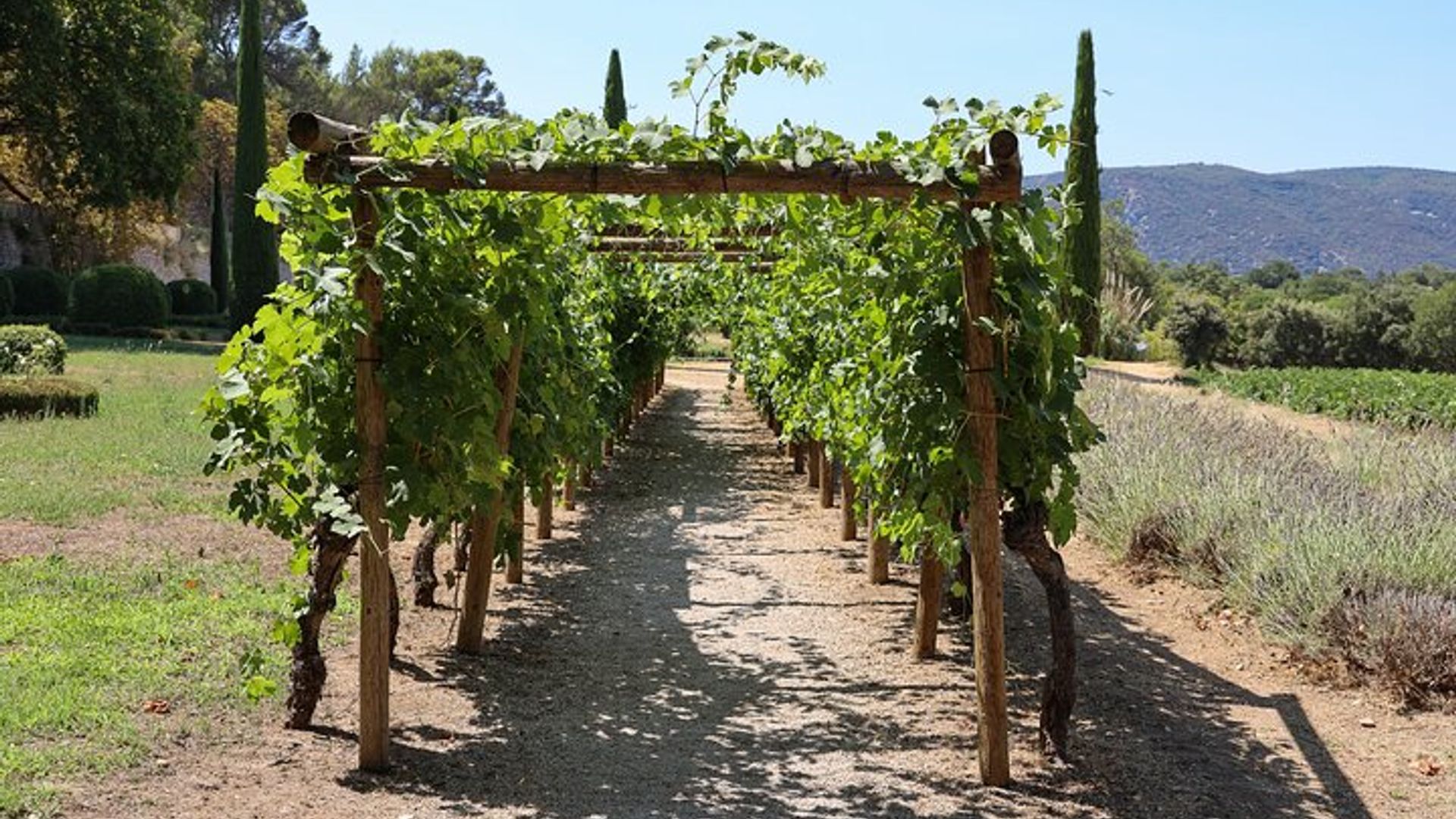 Die Weine des Luberon, das Château de Lourmarin & das Olivenöl Bastide du Laval