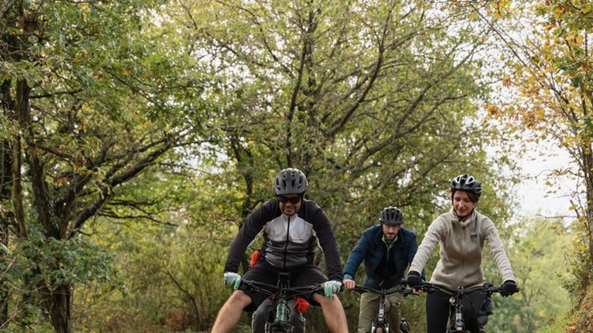 A la découverte des crus du Beaujolais | Tour guidé