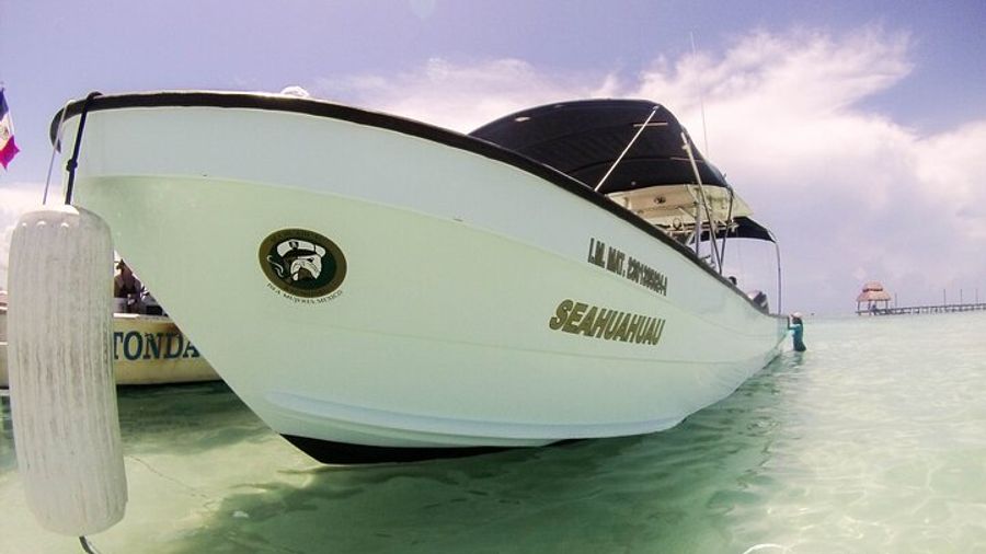 Whale Shark Encounter Full-Day all inclusive Tour from Riviera Maya