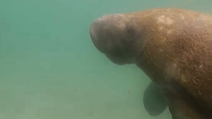 San Juan: Balneario El Escambron Snorkeling Tour