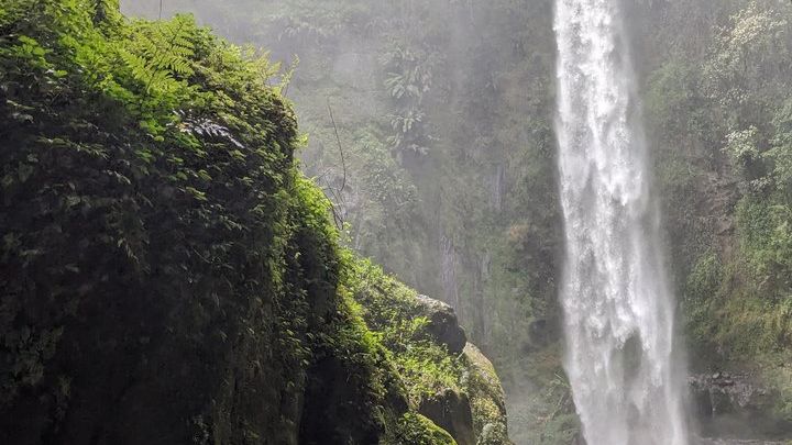 Best & Top of Arusha Coffee Tour and Waterfall Hike Private Tour