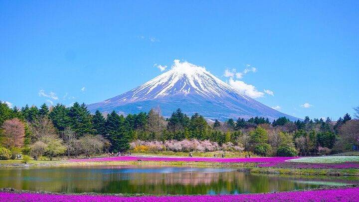 Mt. Fuji and Hakone Private Tour From Tokyo