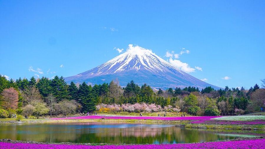 Mt. Fuji and Hakone Private Tour From Tokyo