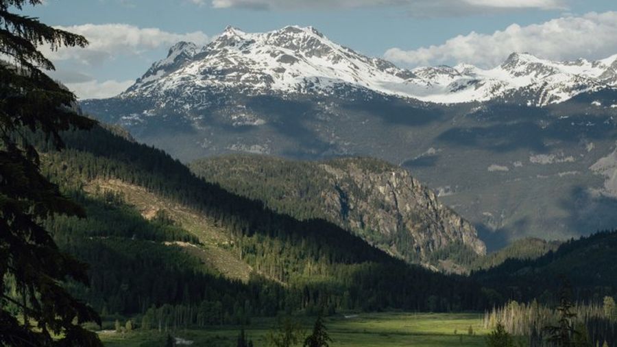 Whistler Small-Group Off-Road Side-by-Side Excursions