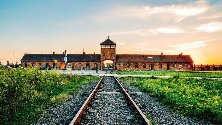 Krakow to Auschwitz-Birkenau: Day Tour with Private Transport