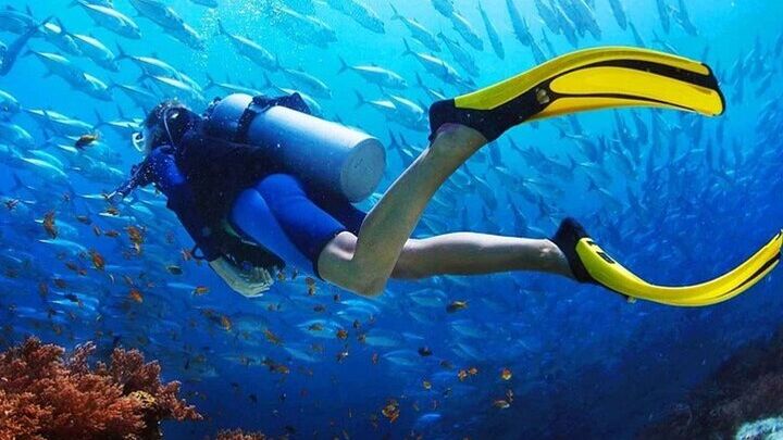 Intro Diving for Beginners 2 Stops Diving with Lunch - Hurghada