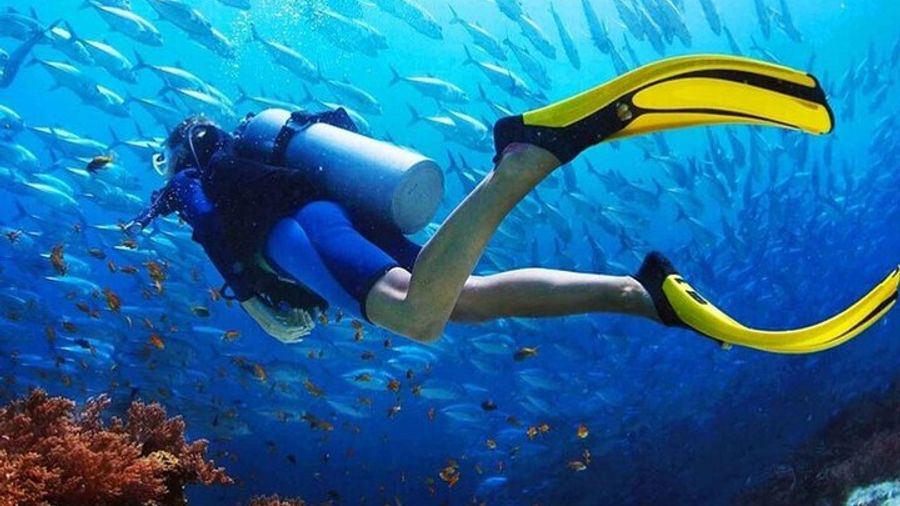 Intro Diving for Beginners 2 Stops Diving with Lunch - Hurghada