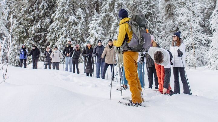 Oslo Small-Group Snowshoe Tour in Winter