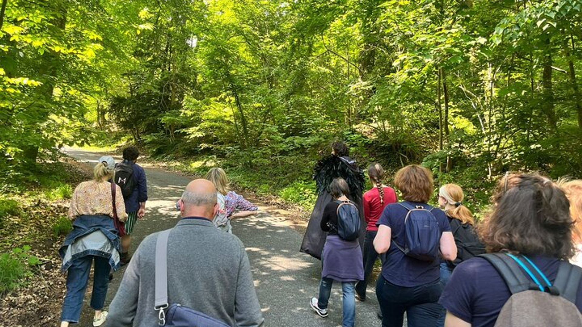 Les mystères de la Forêt de Fontainebleau visite immersive