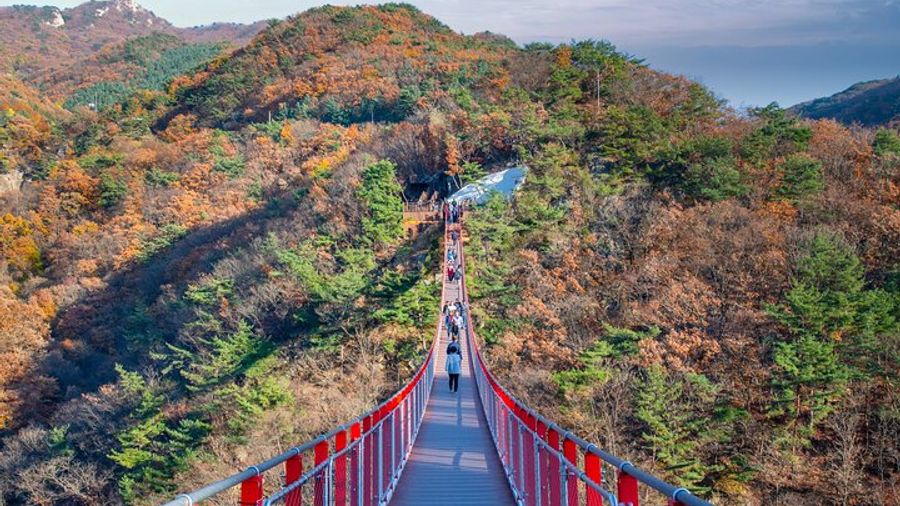 Seoul Full-Day DMZ, Imjingak, Observatory, and Red Bridge Tour
