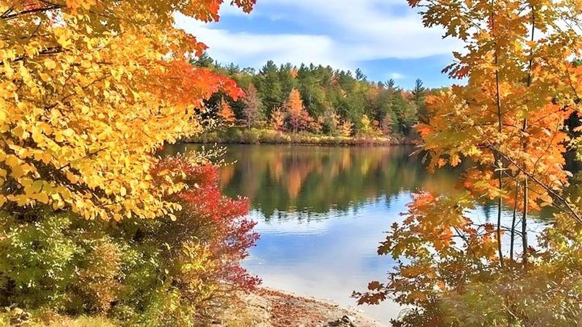 Boston to New Hampshire Fall Foliage White Mountains Day Trip