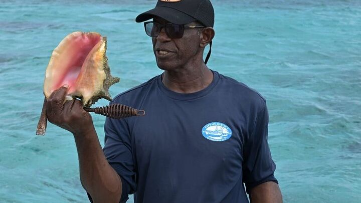 Grand Cayman: Stingray City and Snorkel Tour With Lunch