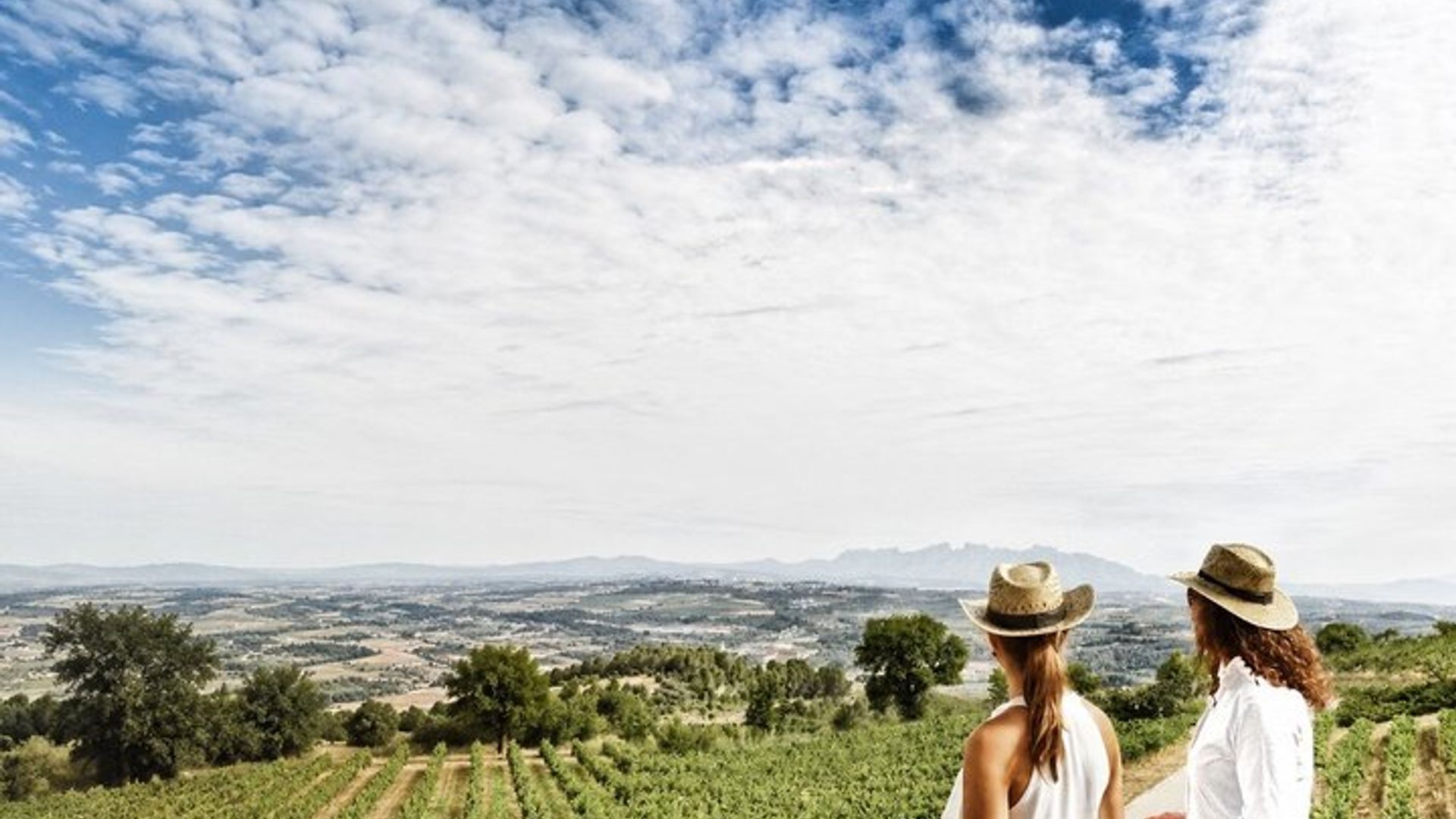 Barcelona Private Wine Experience - Price for 2 Guests