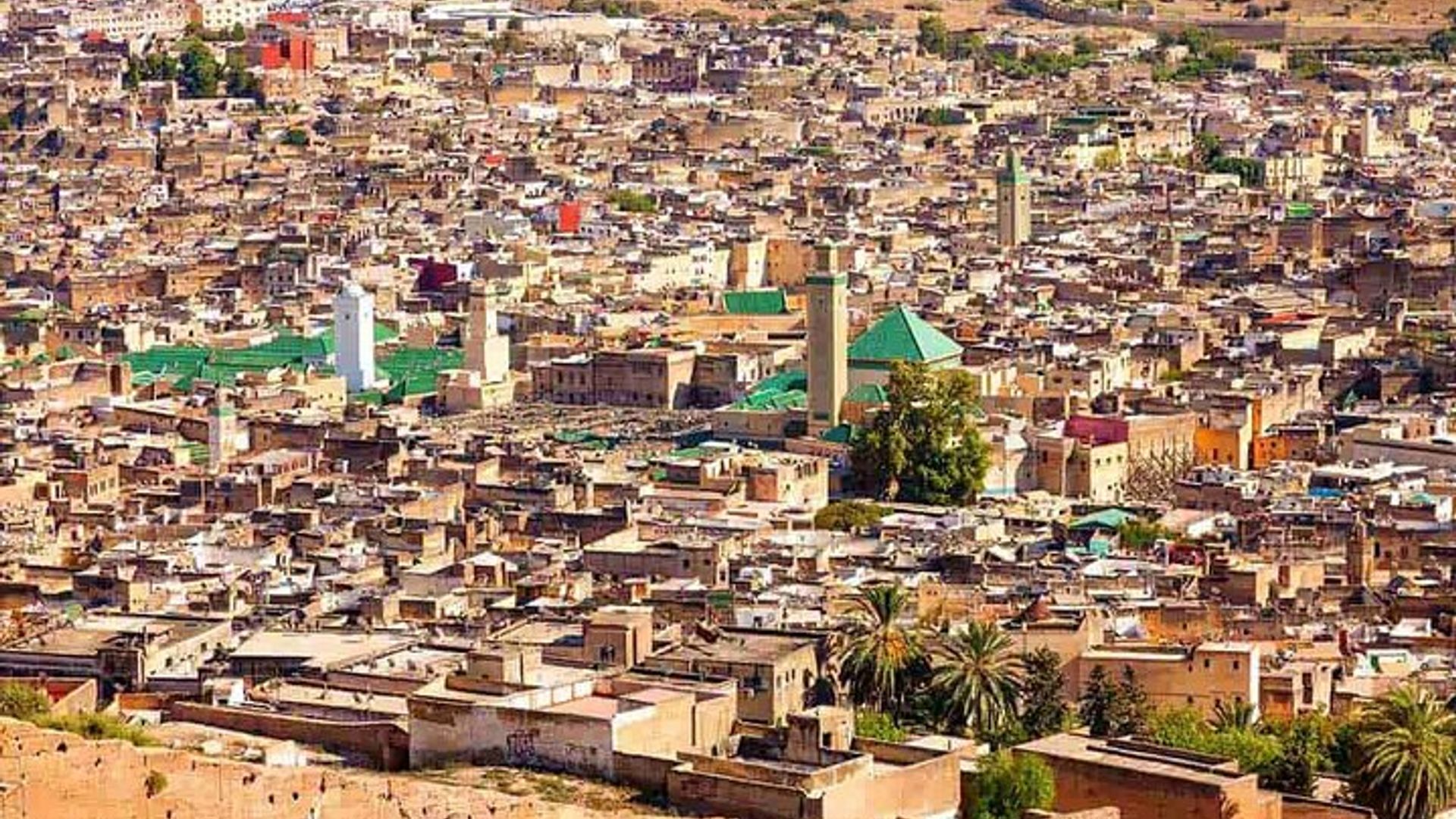 Visite à pied de la médina de Fès avec guide privé et transferts