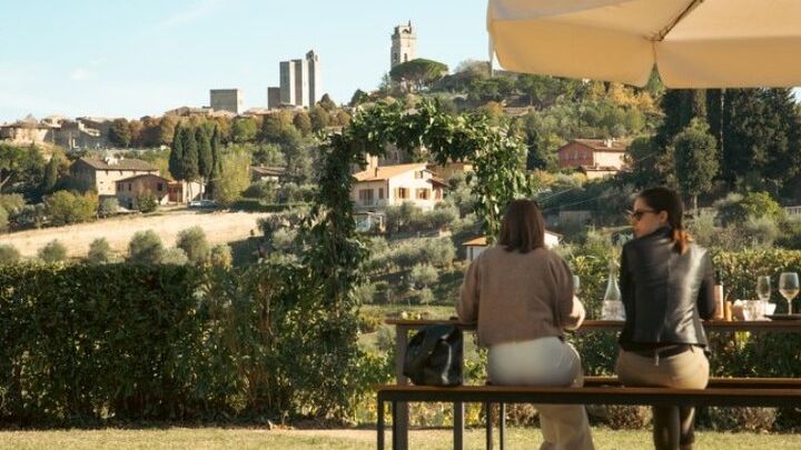 San Gimignano Winery Visit with Olive Oil Tastings plus Lunch