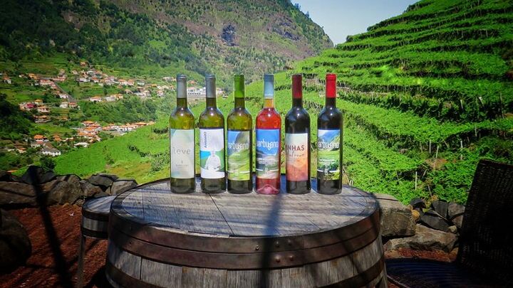 Wine & Cabo Girão Jeep Safari : Unveiling Madeira's Treasures
