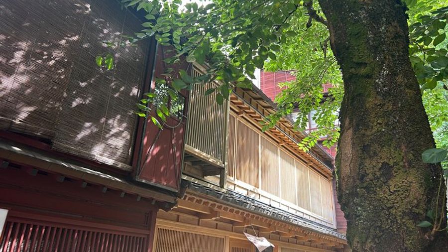 Taste of Kanazawa (Food tasting in Omicho Market & Higashi Chaya)