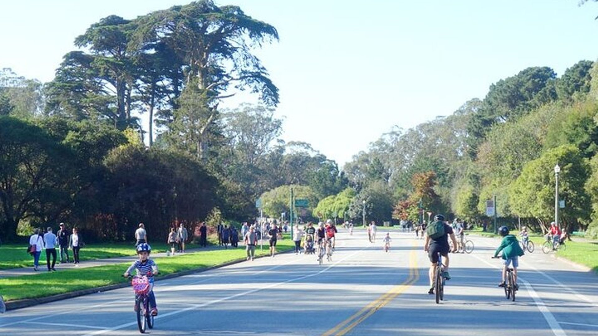 Summer of Love San Francisco Guided eBike Tour Golden Gate Park image 3