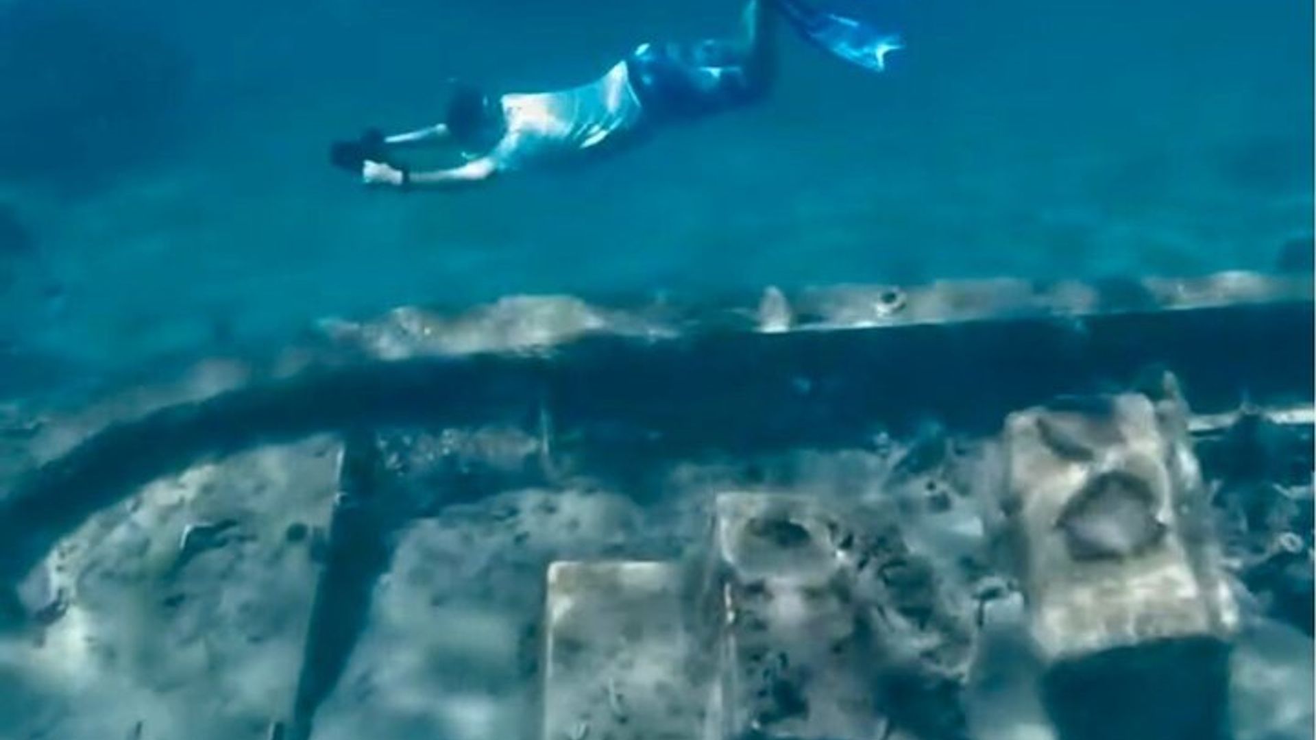 West Palm Beach: Privates geführtes Jet-Schnorchel-Erlebnis