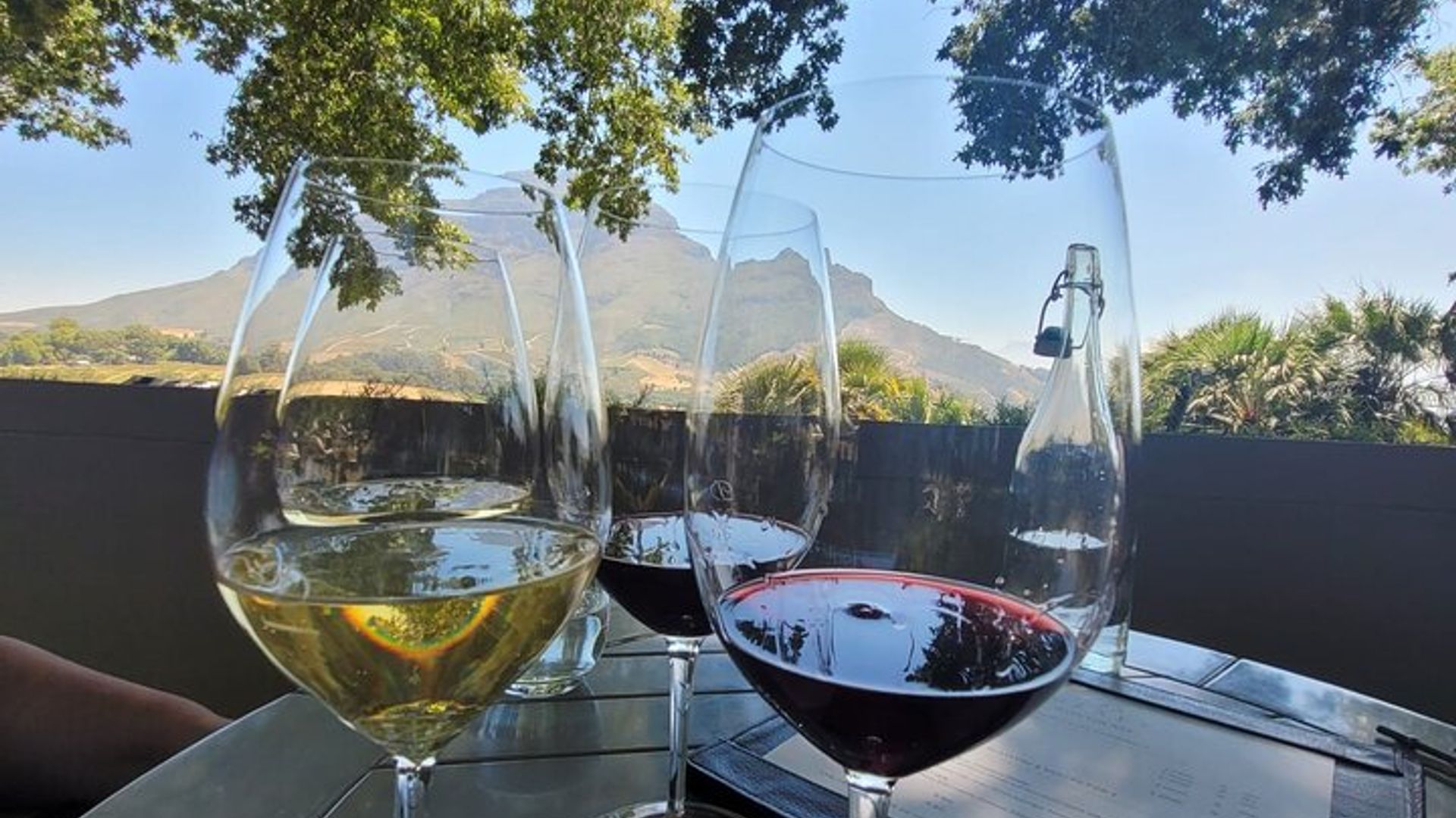 Visite privée des vins de Cape Winelands