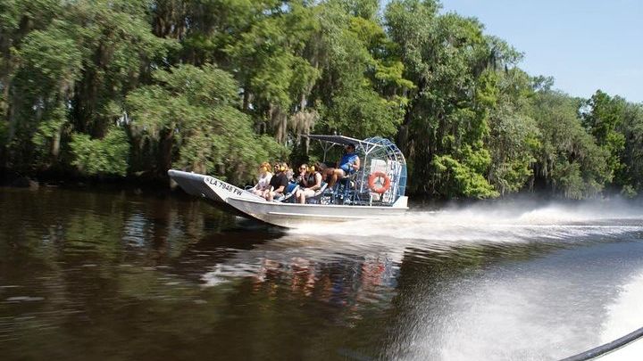 Large Airboat Swamp Tour with Transportation from New Orleans