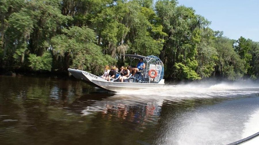 Large Airboat Swamp Tour with Transportation from New Orleans